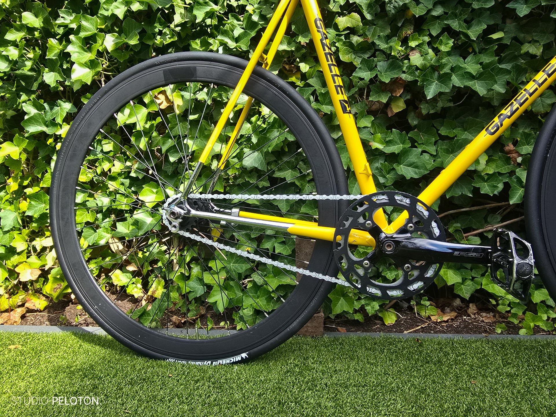 Gazelle Champion Mondial Singlespeed