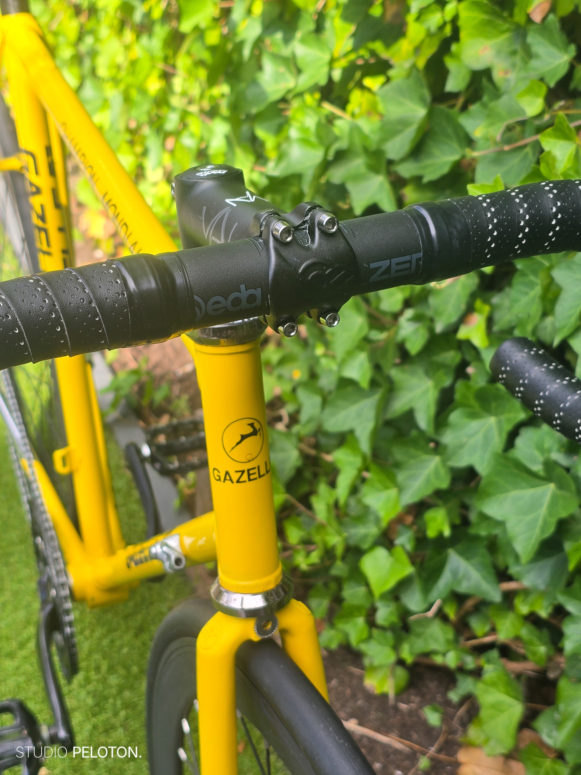 Gazelle Champion Mondial Singlespeed