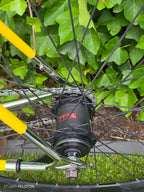 Gazelle Champion Mondial Singlespeed