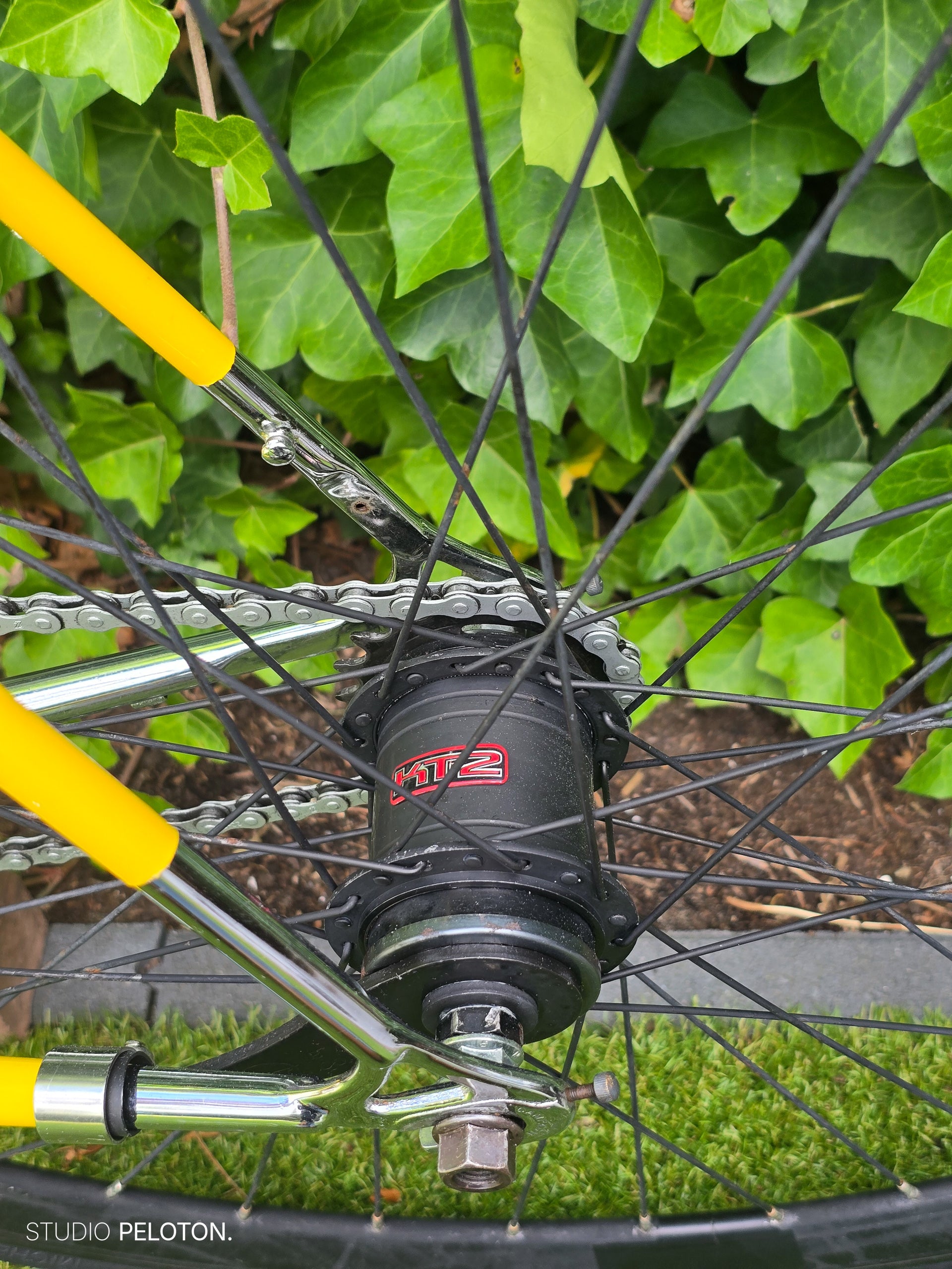 Gazelle Champion Mondial Singlespeed