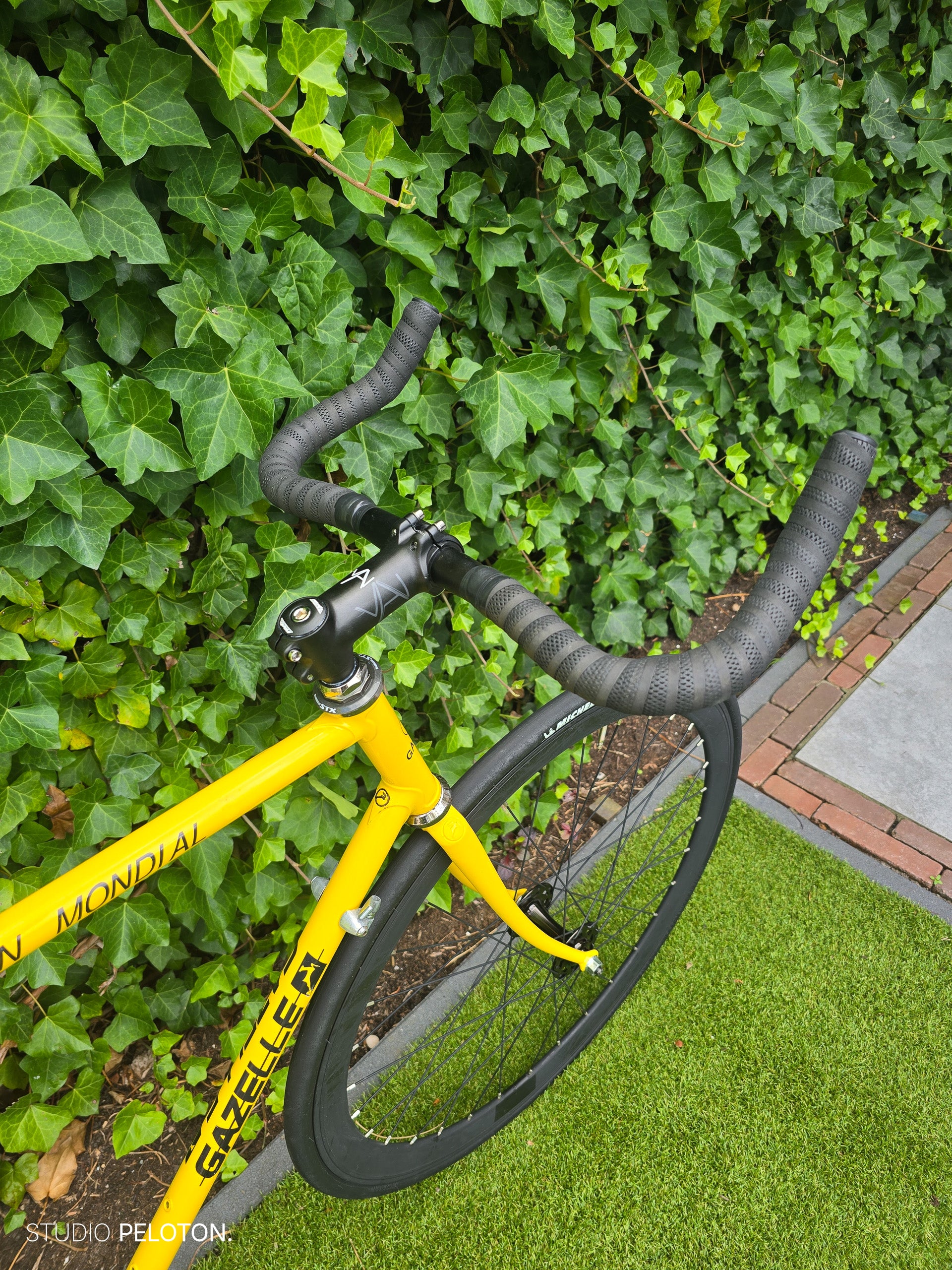 Gazelle Champion Mondial Singlespeed