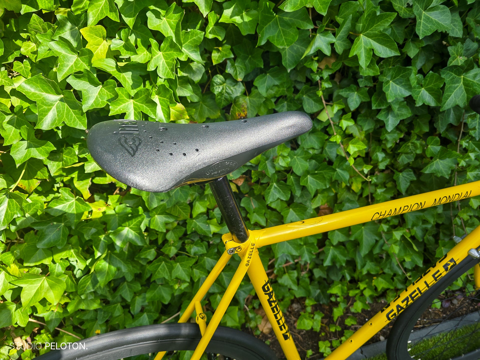 Gazelle Champion Mondial Singlespeed