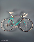 Gazelle Champion Mondial AB
