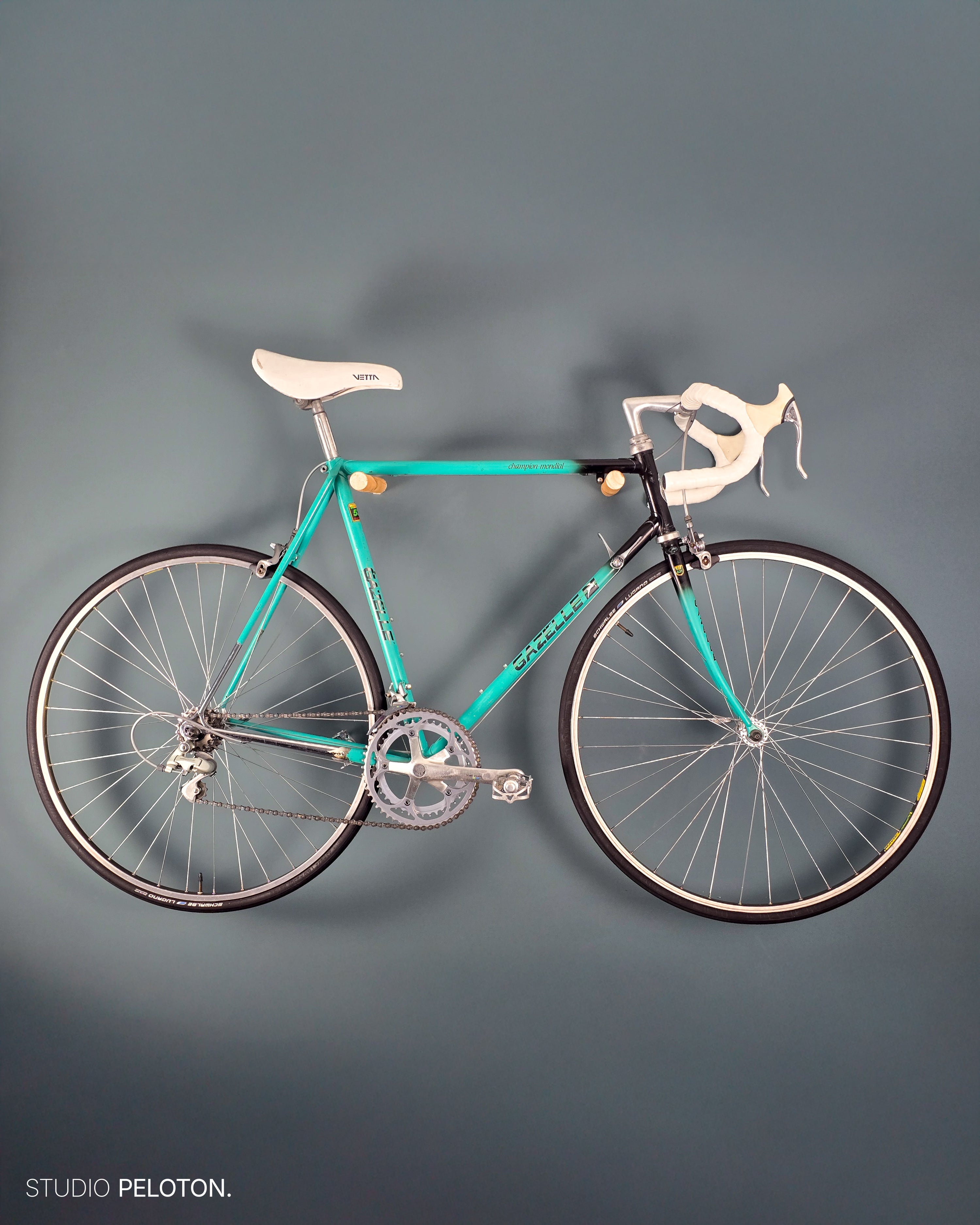 Gazelle Champion Mondial AB-frame