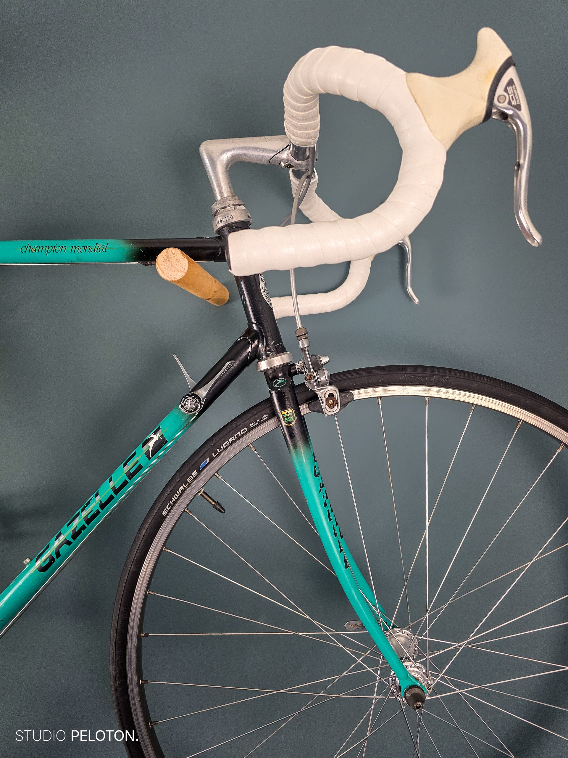 Gazelle Champion Mondial AB-frame