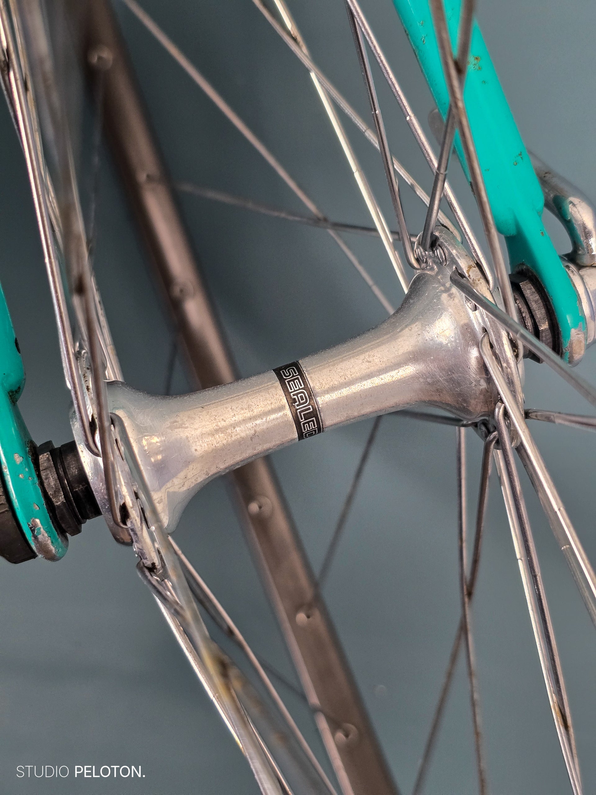 Gazelle Champion Mondial AB-frame