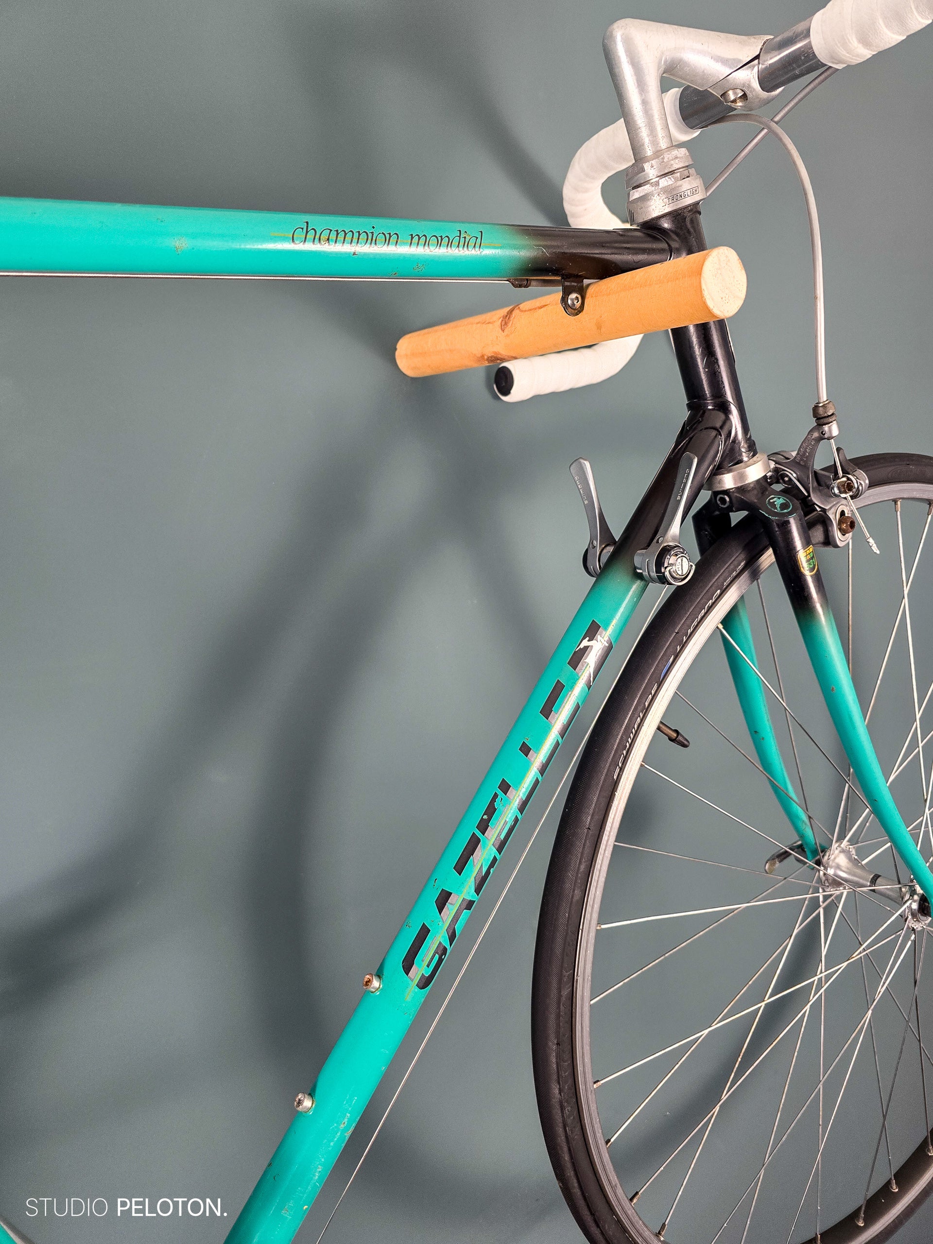 Gazelle Champion Mondial AB-frame