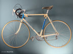 Gazelle Champion Mondial AB