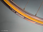 Gazelle Champion Mondial AB