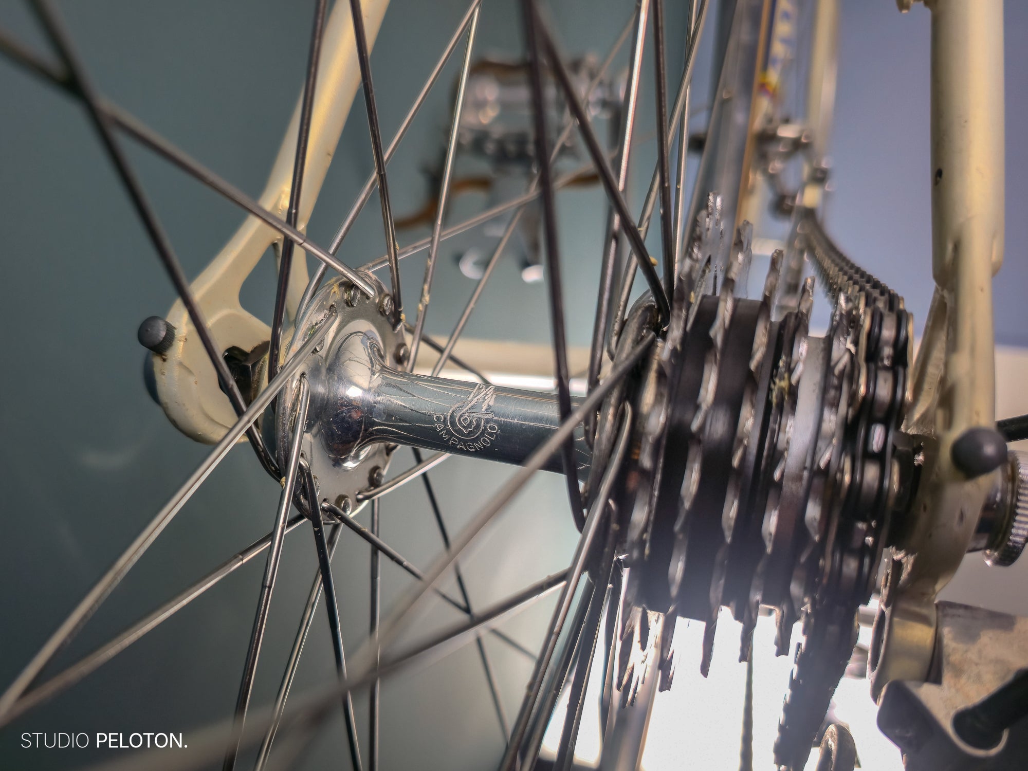 Gazelle Champion Mondial AB