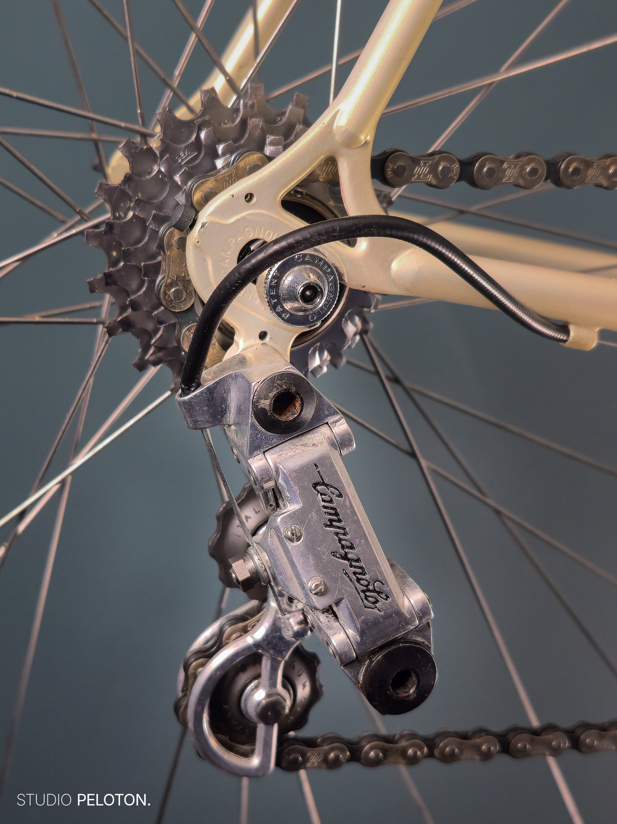 Gazelle Champion Mondial AB