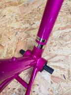 Giant Coldrock frameset
