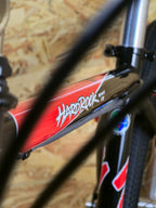 Specialized Hardrock Sport
