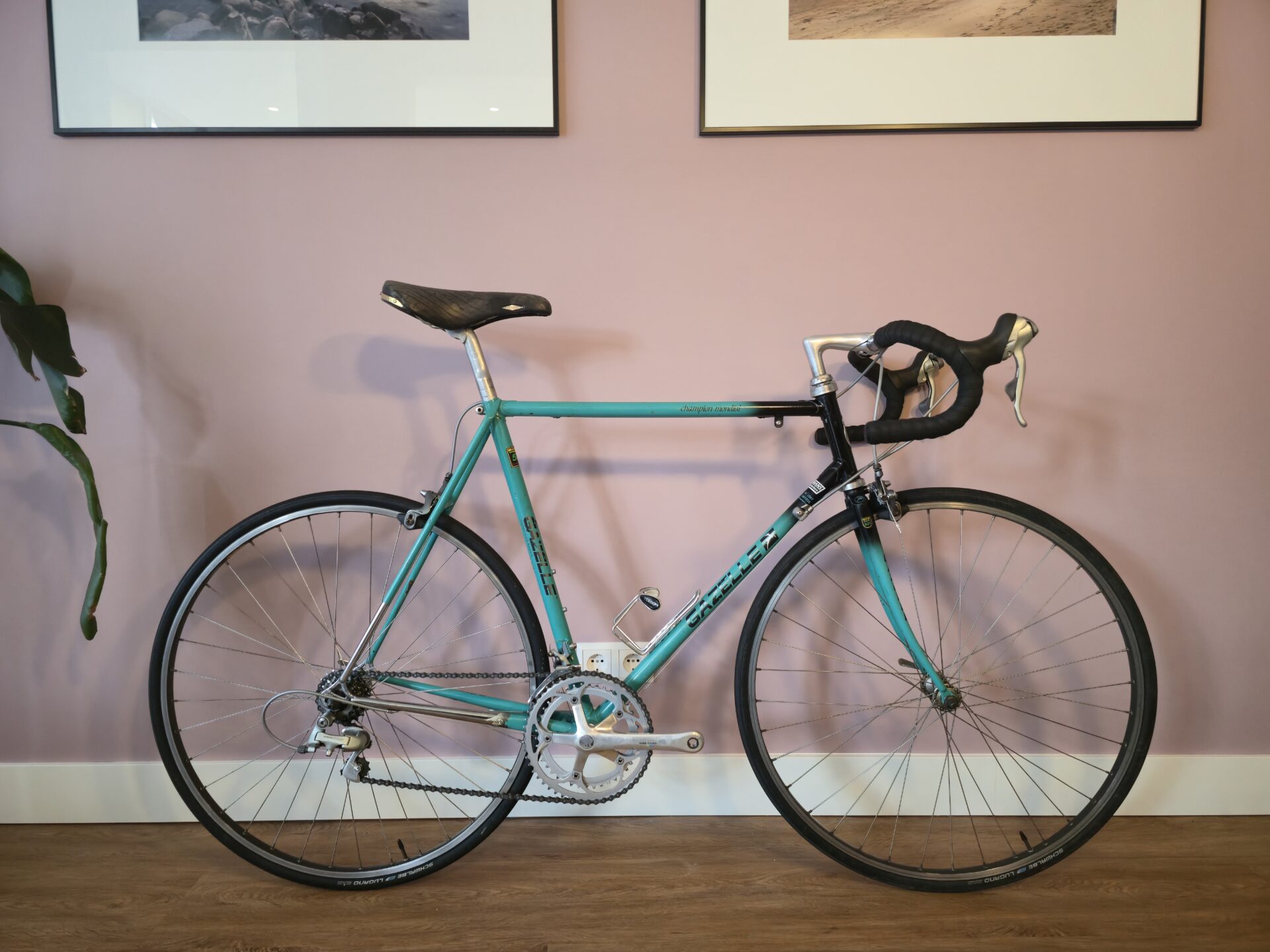 Gazelle Champion Mondial AB